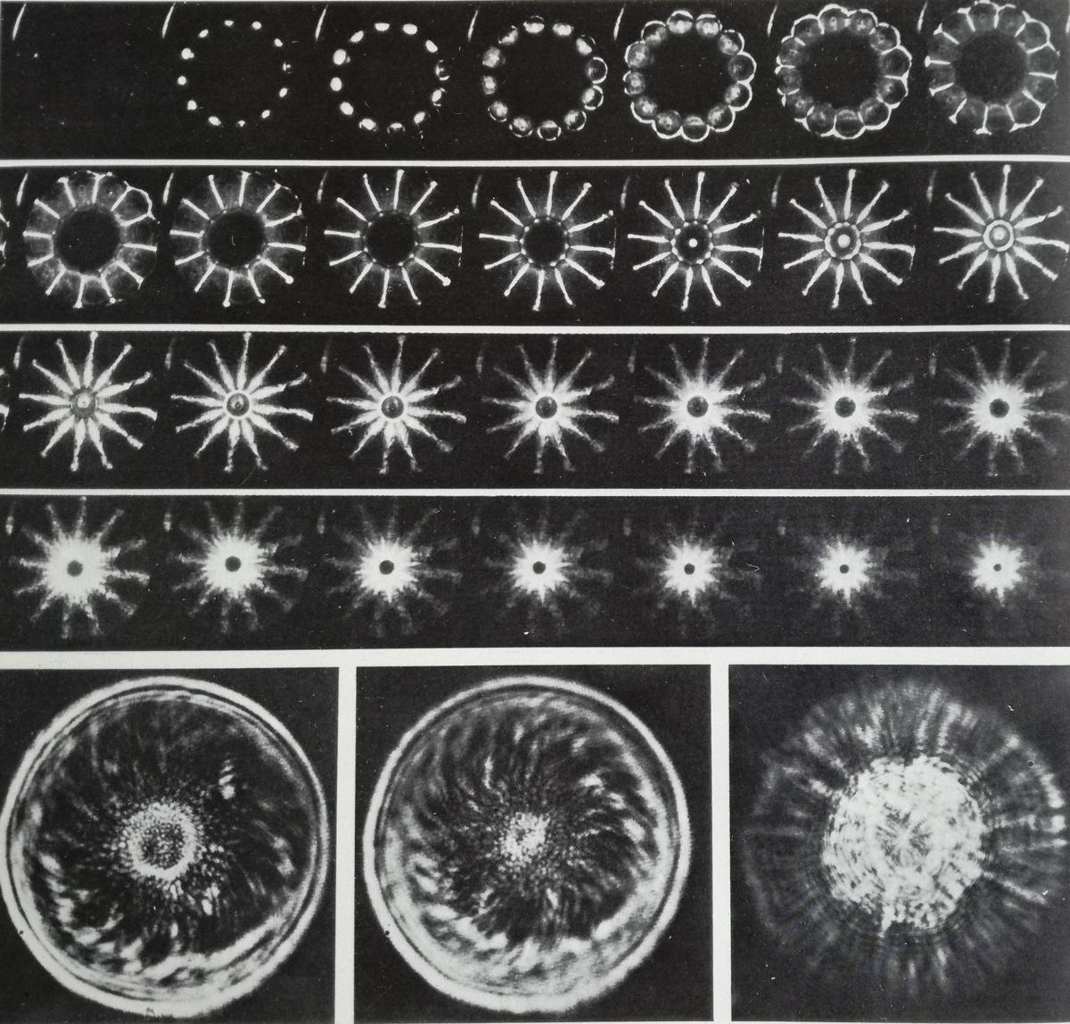 Archivi Della Scienza