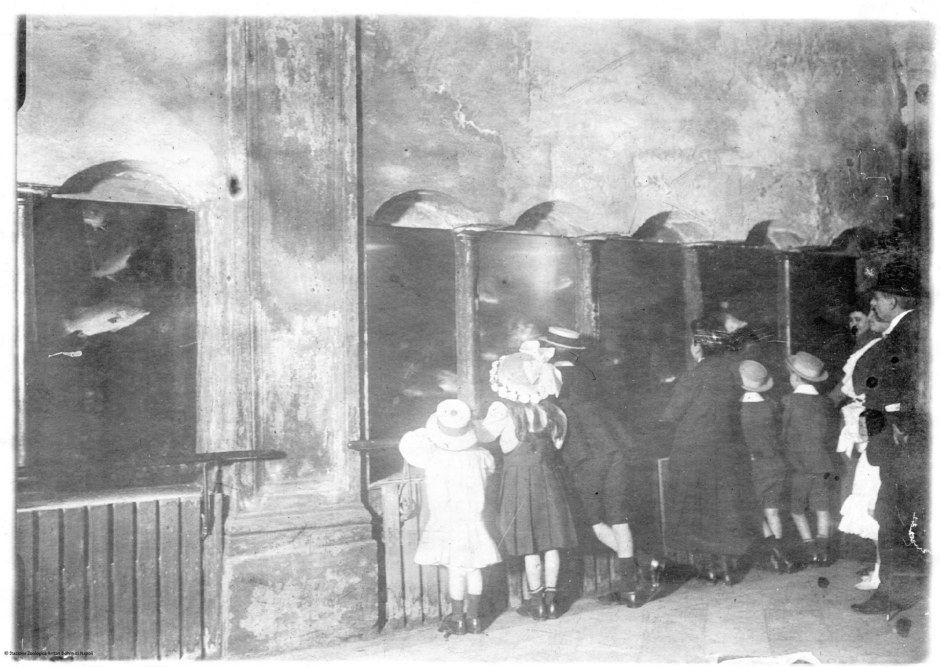 Visitatori all'Acquario di Napoli (1910) - Stazione zoologica Anton Dohrn di Napoli