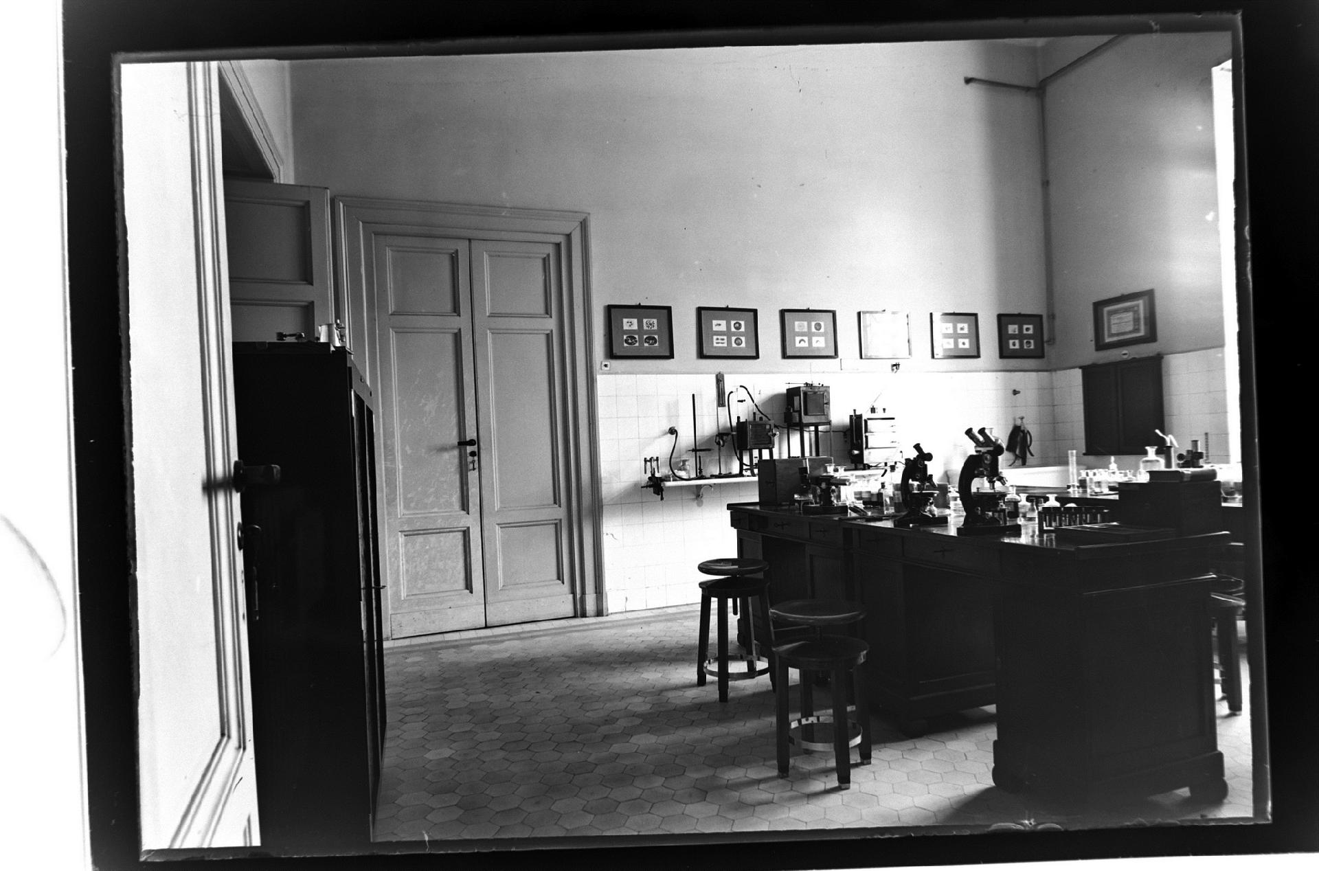 Il laboratorio di microscopia ottica per ricerche di zoologia e botanica - Attilio Cerruti