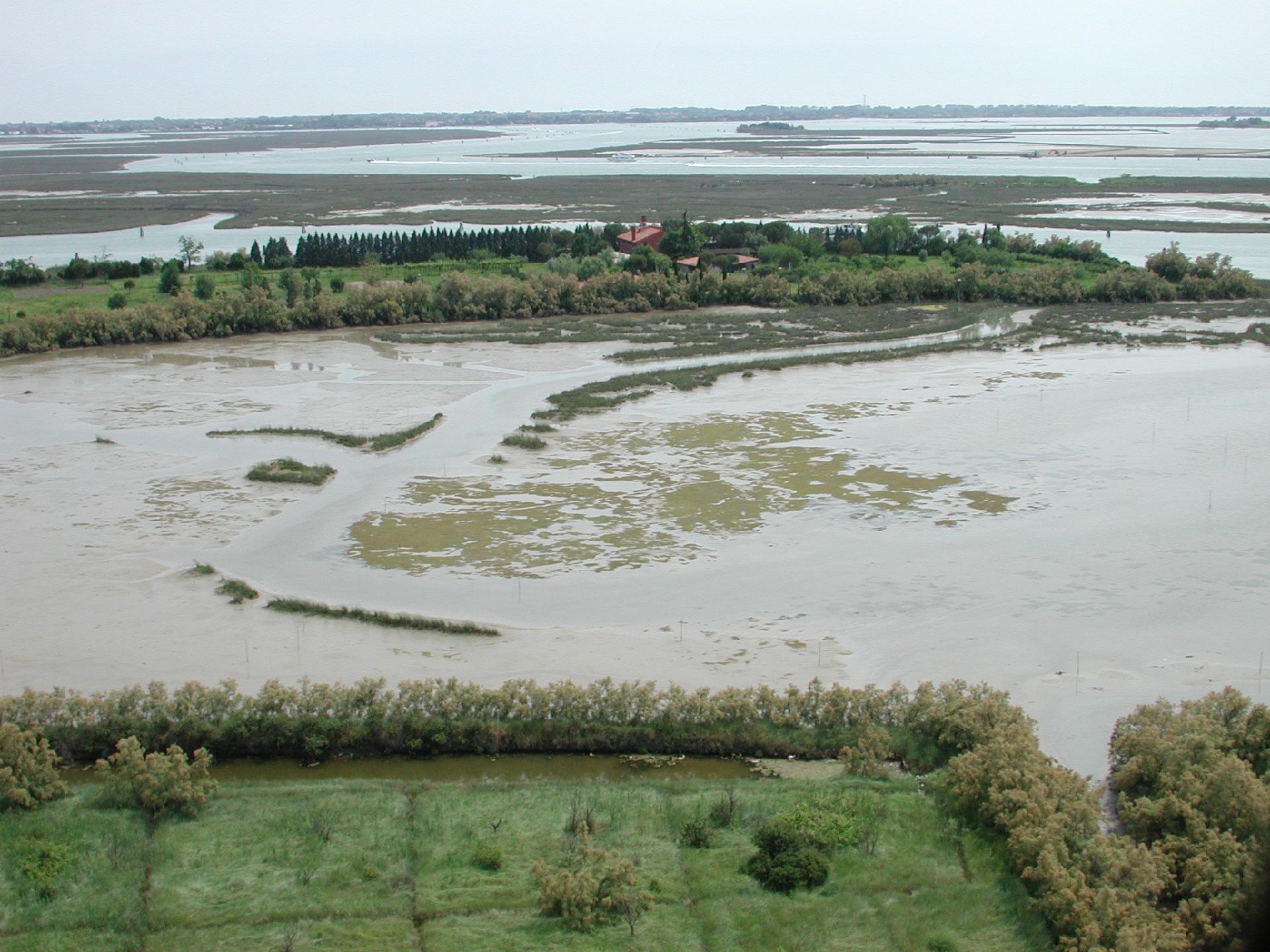 The Venetian lagoon - Museo di Storia Naturale di Venezia