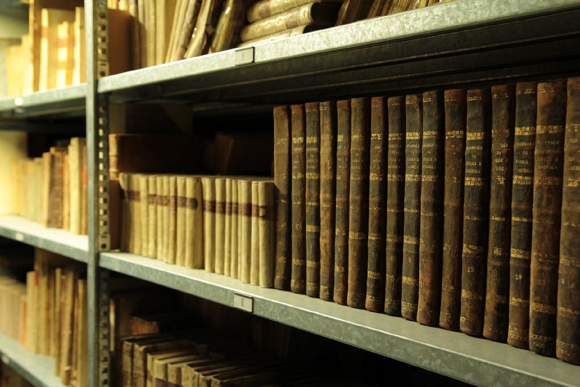 The library of the Natural History Museum of Venice - Museo di Storia Naturale di Venezia