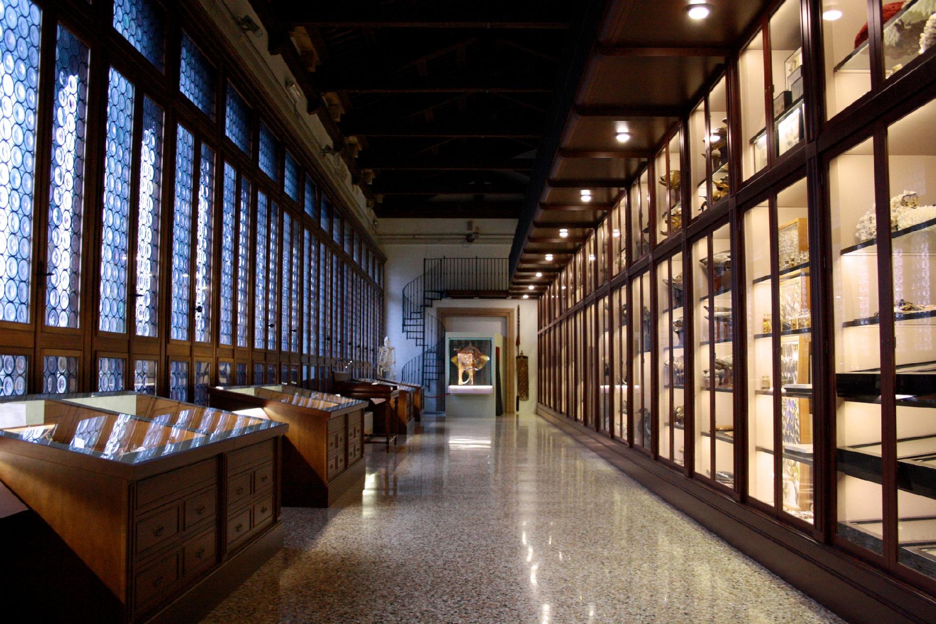 Natural History Museum of Venice - Museo di Storia Naturale di Venezia