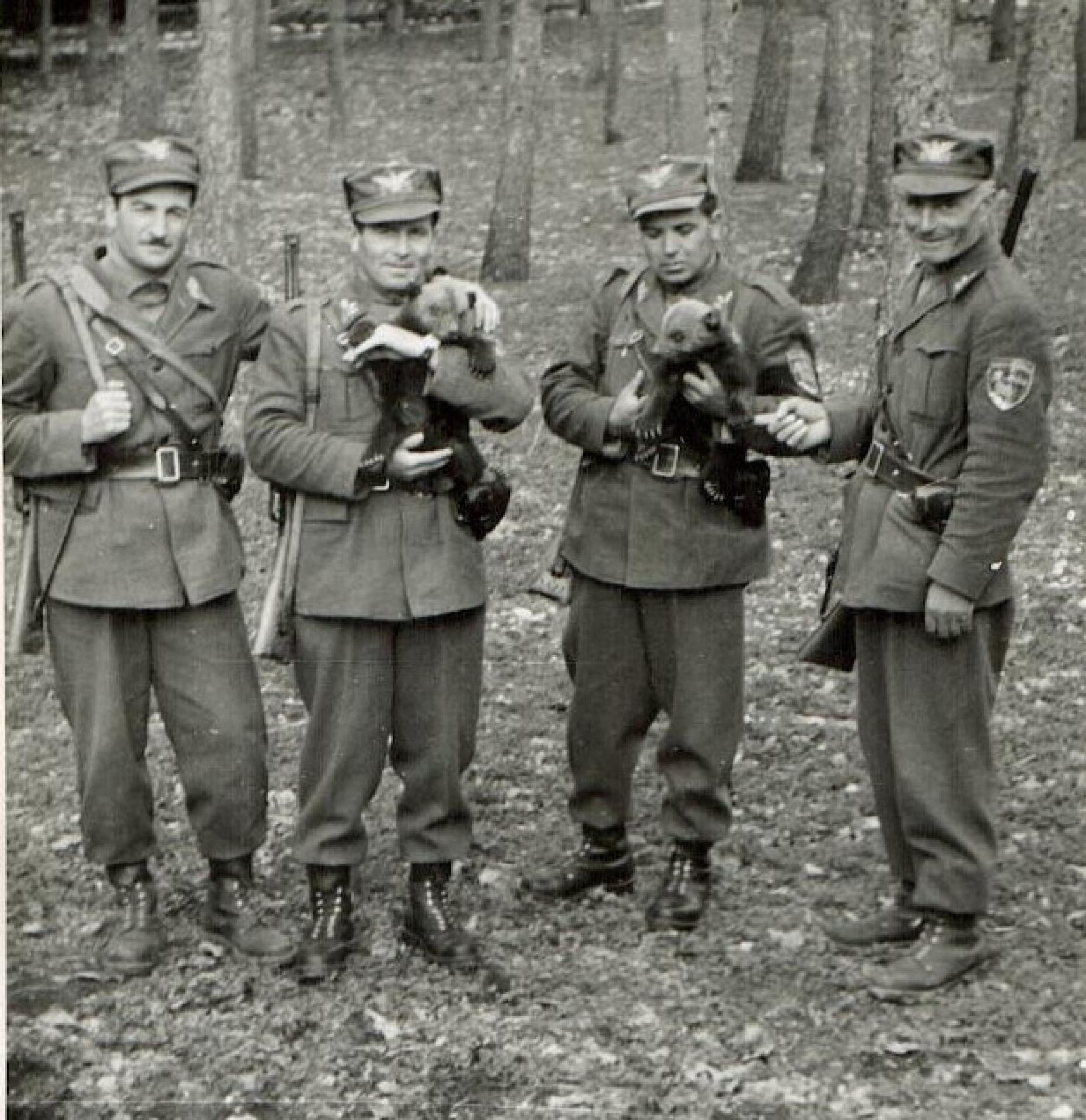 - CC BY-SA Archivio fotografico Pnalm