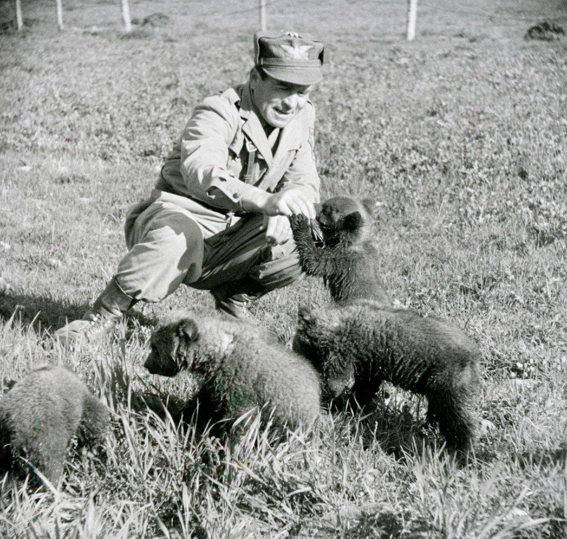 - CC BY-SA Archivio fotografico Pnalm